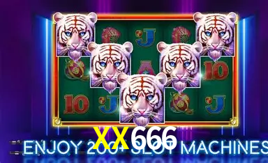 XX666